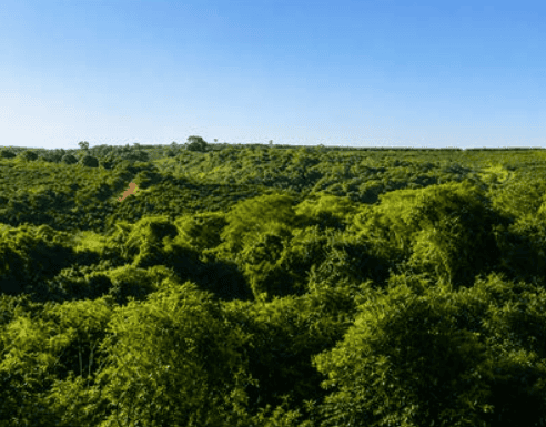 Terrenos e vilas à venda na Fazenda Santa Helena, em Bragança Paulista, condomínio de alto padrão à venda , com a High Imóveis Especiais,