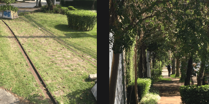 jardim-paulista-trilhos-do-bonde-da-linha-40-e-arvores-centenarias