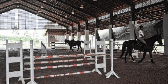 Treinamento de salto no Haras Larissa