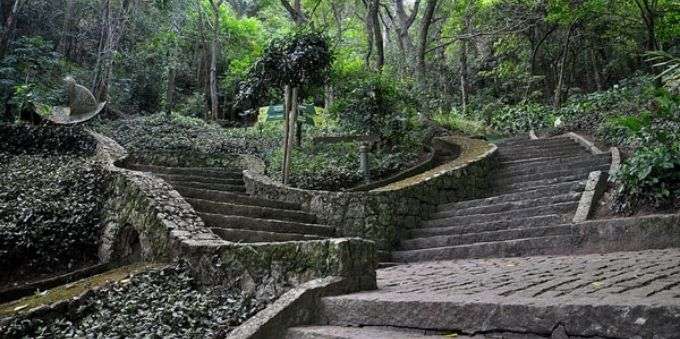 Parque Natural Municipal da Catacumba localizado na Lagoa Rodrigo de Freitas