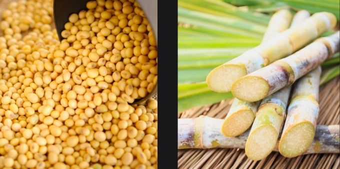 Interior de São Paulo. Duas imagens lado a lado. A imagem da esquerda mostra grãos de soja. A imagem da direita mostra cana de açúcar 
