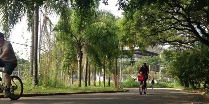 Parque Ibirapuera: imagem de mulher andando de bicicleta no parque