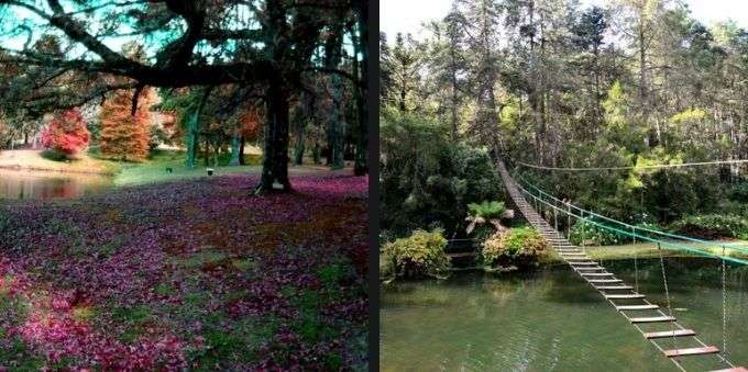 As cores do Horto Florestal em Campos do Jordão