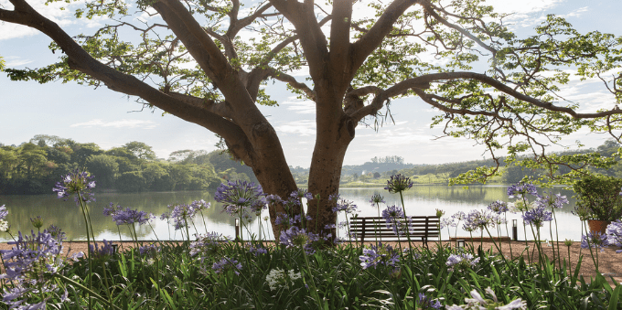 Vista da Casa do Lago na Fazenda da Grama