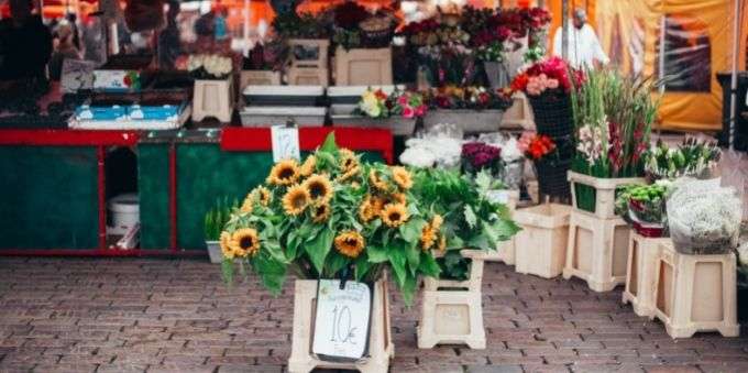 Imagem focada de flores em frente a barraca em uma feira - a Farmers Market, em Orlando.