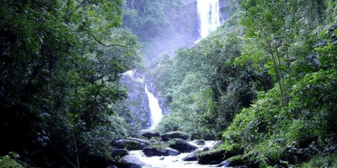 Cachoeiras escondidas na Mata Atlântica em Paraty