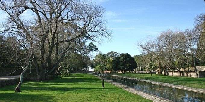 Imagem mostra campo aberto com árvores e pequeno rio no meio, no Jardim Monsanto, em Lisboa