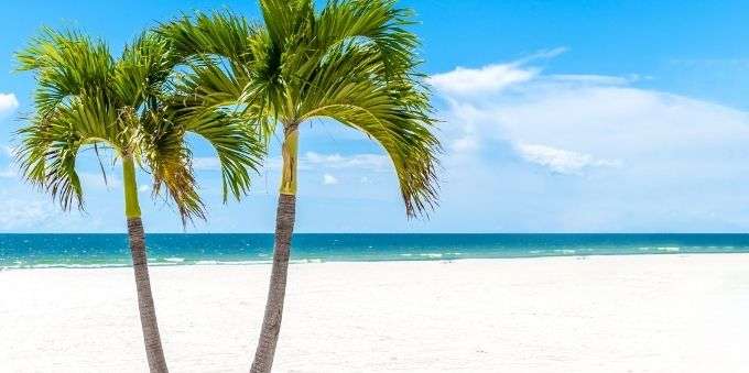 Imagem ilustrativa de dois coqueiros em praia com areia branca e mar azul, em Orlando.